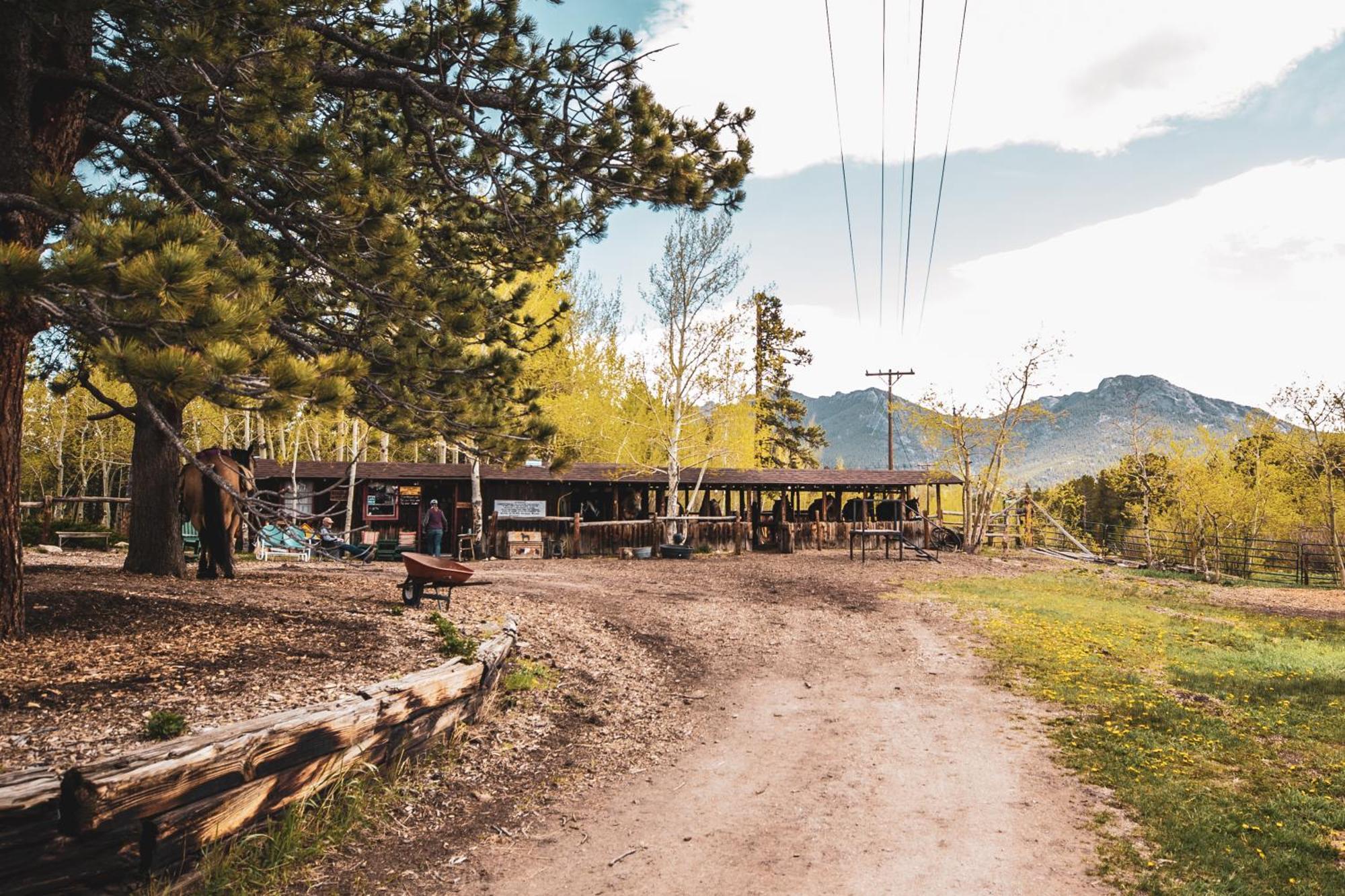 The Meeker Park Lodge Allenspark Dış mekan fotoğraf